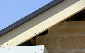 Garizim fascia repairs