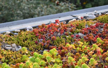 the cost of Garizim green roof installation